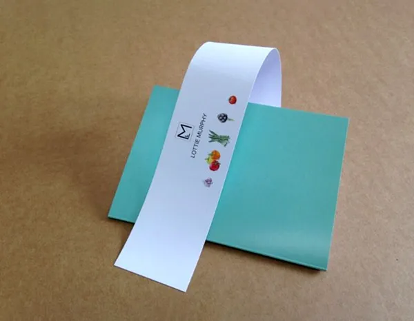 Scribble Books Wraparound